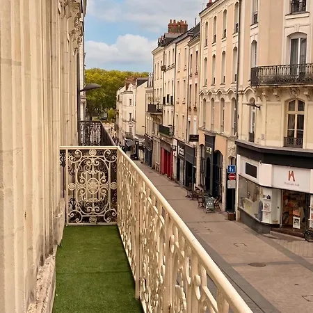T2 Hypercentre Angers, Balcon, Fresques * Angers